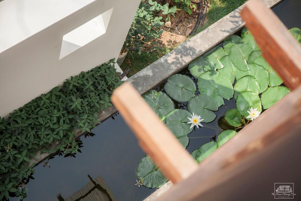 The Home Chiangmai Luxury Guesthouse Chiang Mai Esterno foto