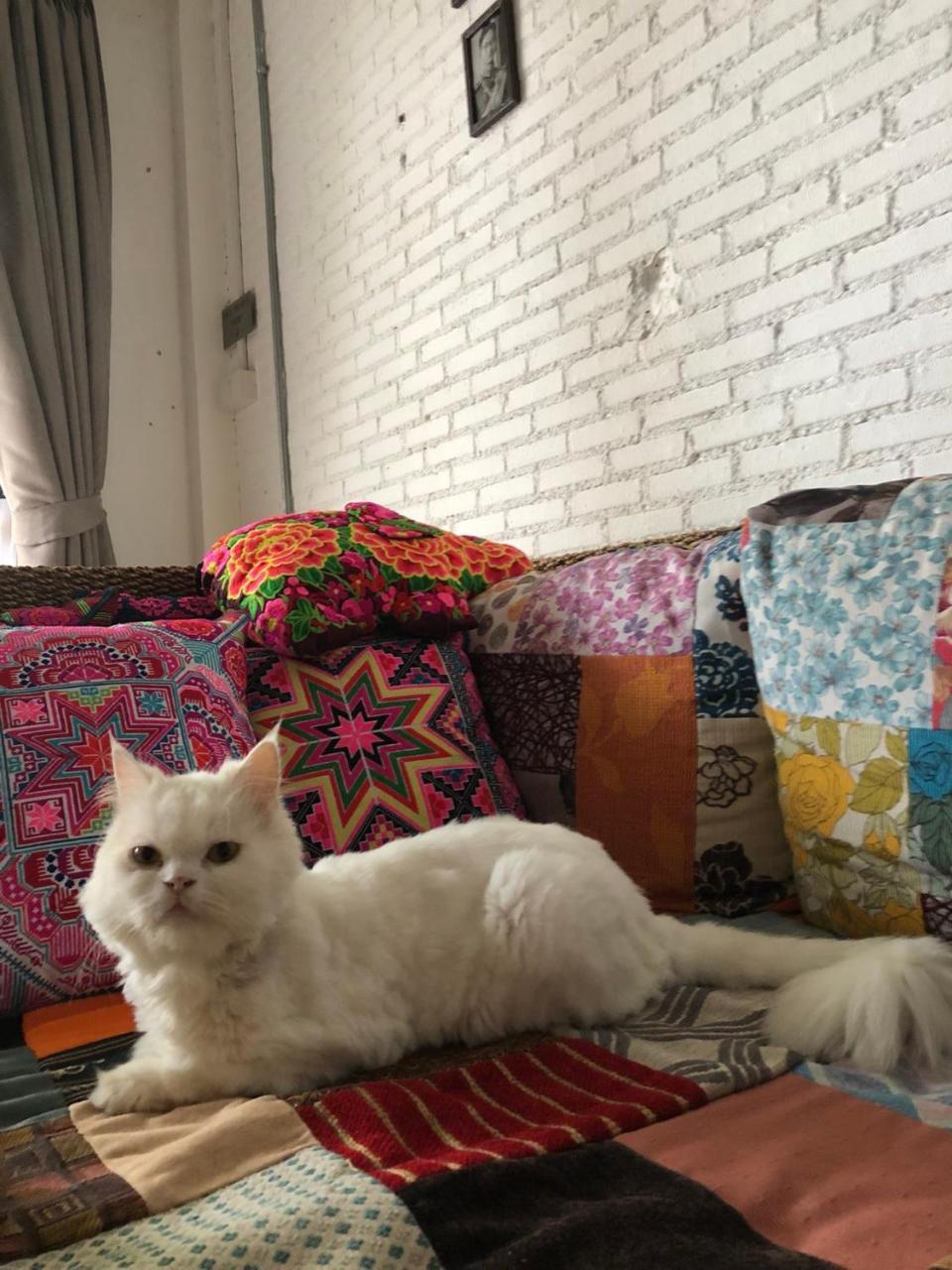 The Home Chiangmai Luxury Guesthouse Chiang Mai Esterno foto